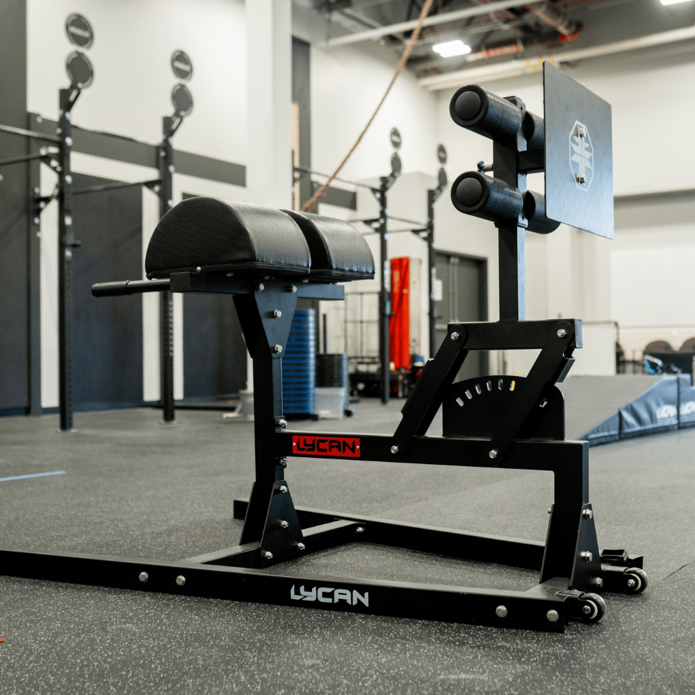 Pro Glute Ham Developer (GHD)