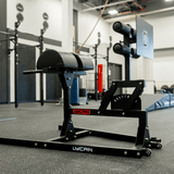 Pro Glute Ham Developer (GHD)
