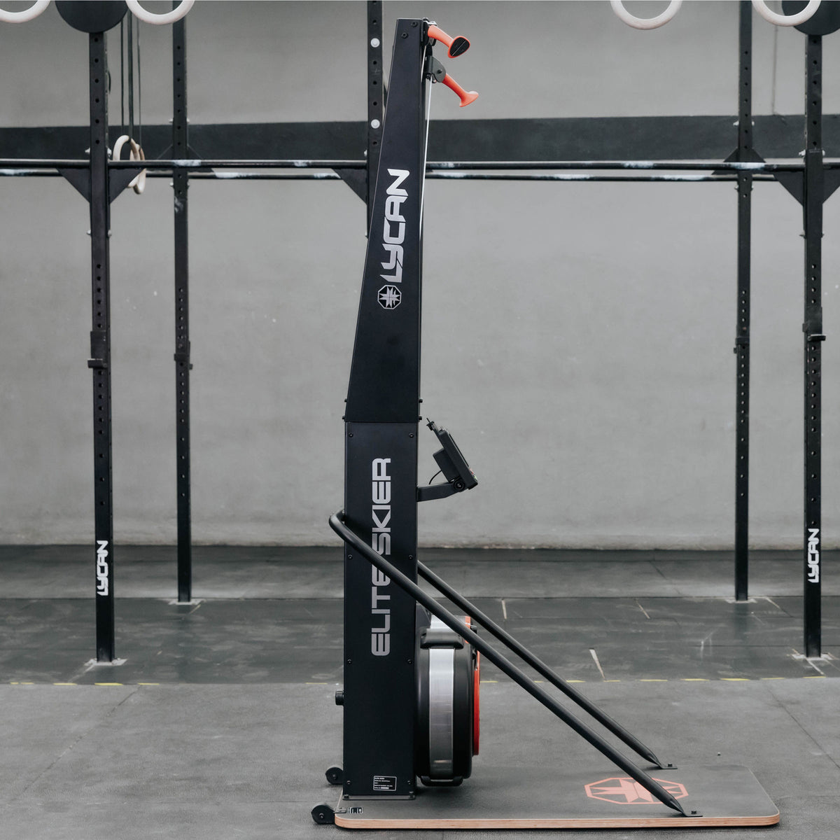 Elite Skier (W/O Floor Stand)