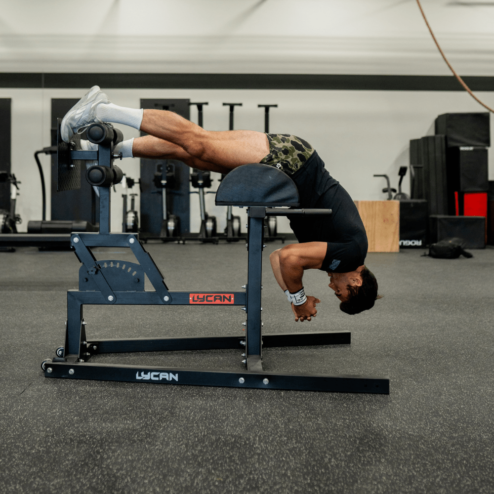 Pro Glute Ham Developer (GHD)