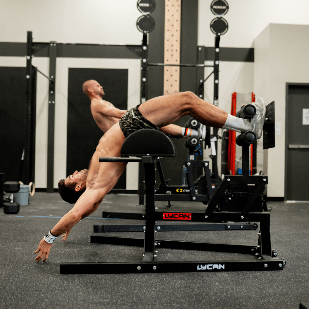 Pro Glute Ham Developer (GHD)