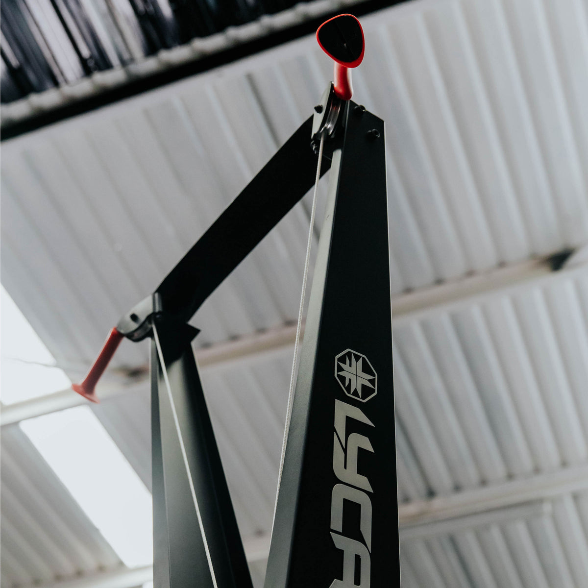 Elite Skier (W/O Floor Stand)