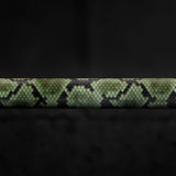 Snake Wild Barbell
