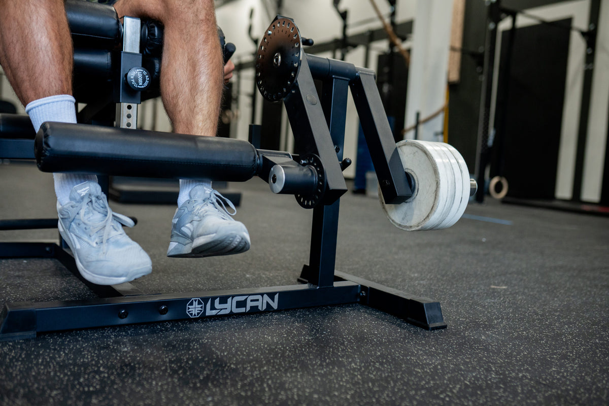 Plate Loaded Leg Extension/Curl Combo