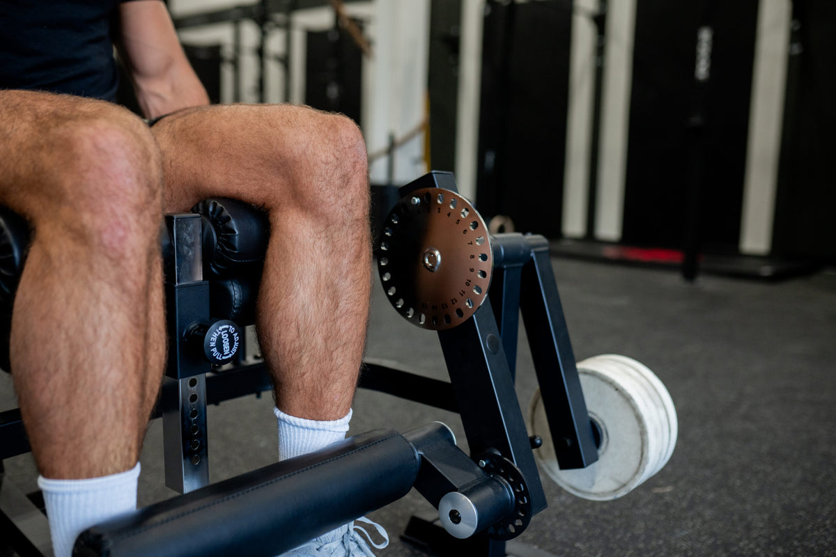 Plate Loaded Leg Extension/Curl Combo