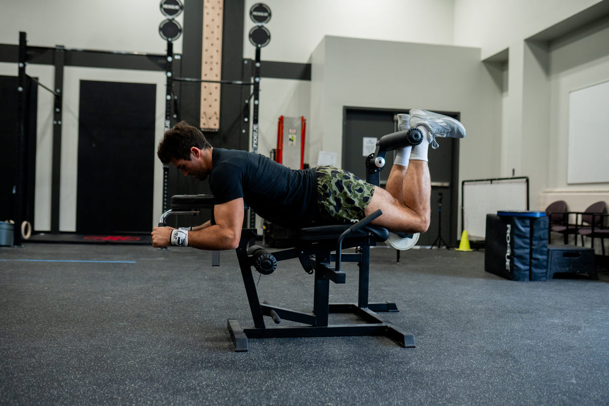 Plate Loaded Leg Extension/Curl Combo