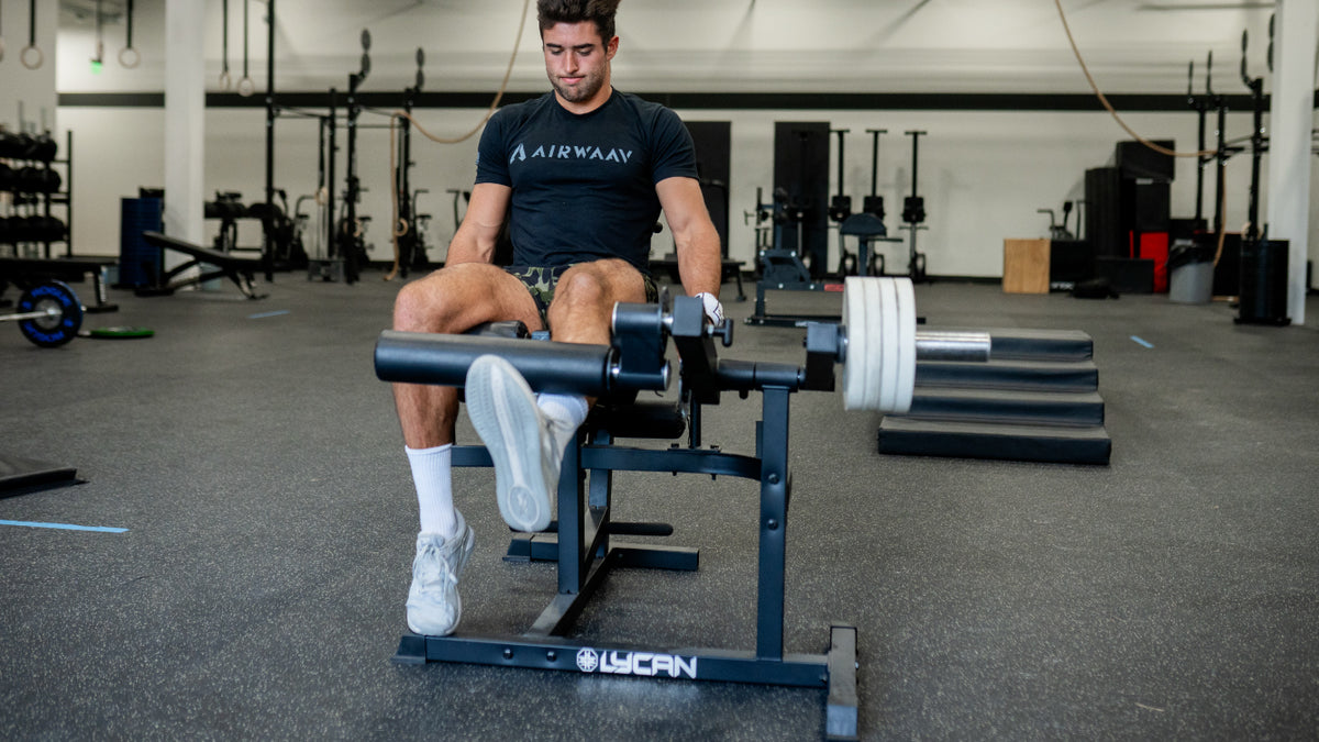 Leg extension, hamstring curl (bilateral or single-leg), back extension, and ab crunch — five exercises, one machine.