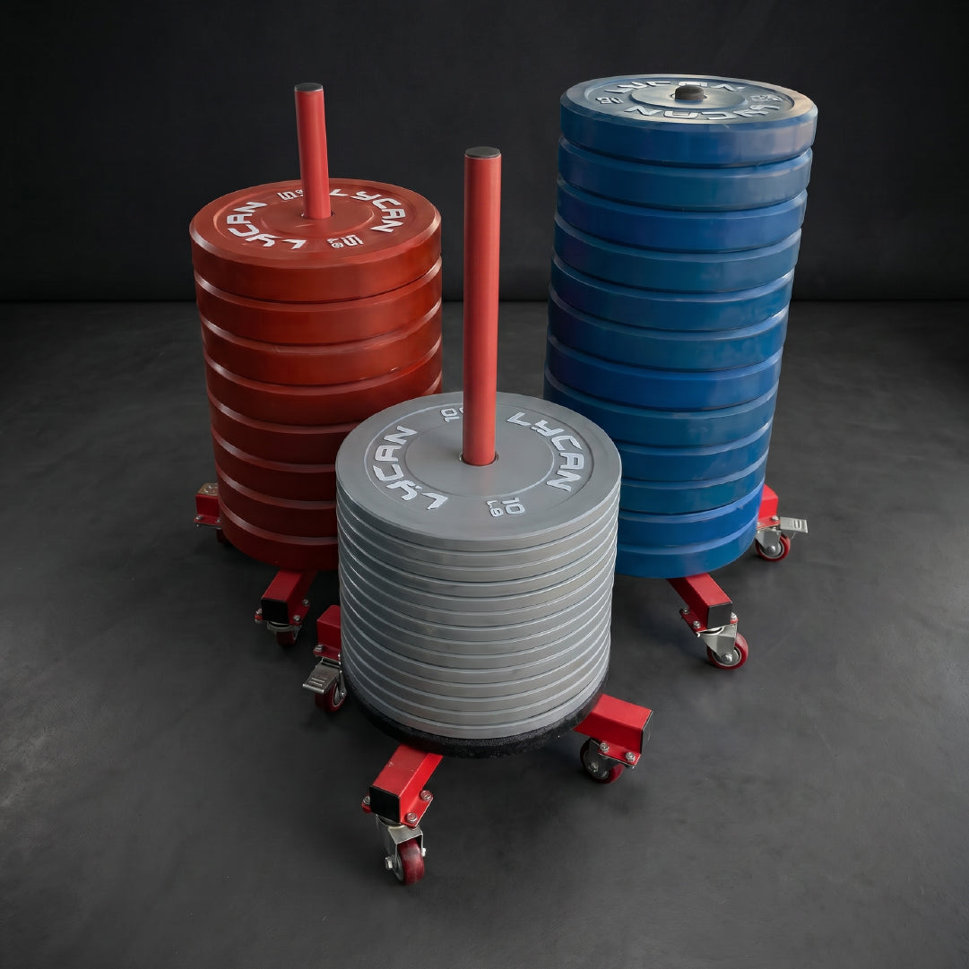 Wheeled Bumper Holder Rack